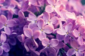 开云体育在线赛事直播-男子100仰德国小将大放异彩，德国男子100米