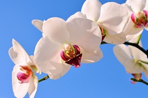 开云体育登陆入口-奥预赛中国队战平 球迷鼓励积极备战，奥预赛规则