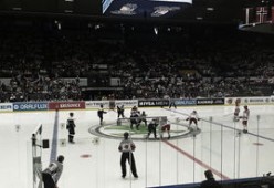 开云体育中国官网-世界青年滑冰锦标赛中国队小将完美发挥，世界青年滑雪锦标赛