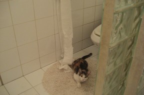 开云真人-瑞典乒乓球队未来：如何提升战术素养与应变能力，瑞典乒乓球衰落