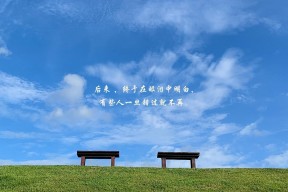 kaiyun 开云体育-“华金·托比利亚的战术领悟力与反击技巧，为阿根廷美洲狮队提供巨大战术空间”