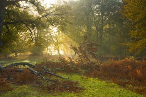 开云体育官方网入口-中国女篮精密布防压制对手 外线命中率稳定，中国女篮表现