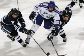 法国男篮在世界杯中不敌美国，获得亚军