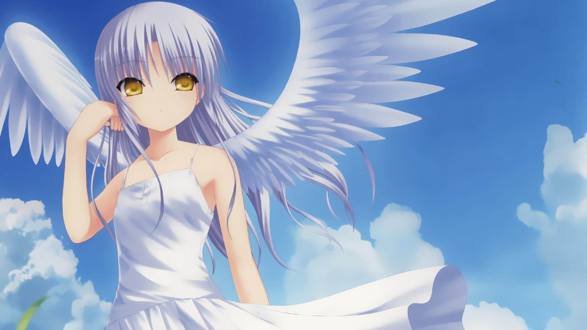 CBA多支球队提升球队整体实力，cba球队增加