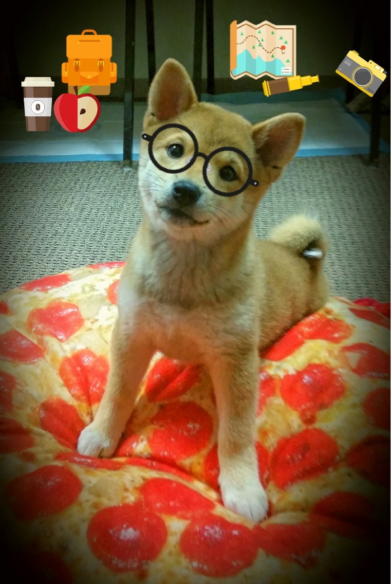 “滚球运动：三叉湖赛场上的精准与策略对决”