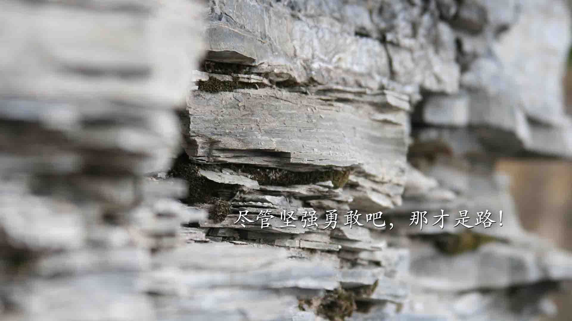 国家女篮选拔机制透明化吸引更多关注,国家女篮球队员名单