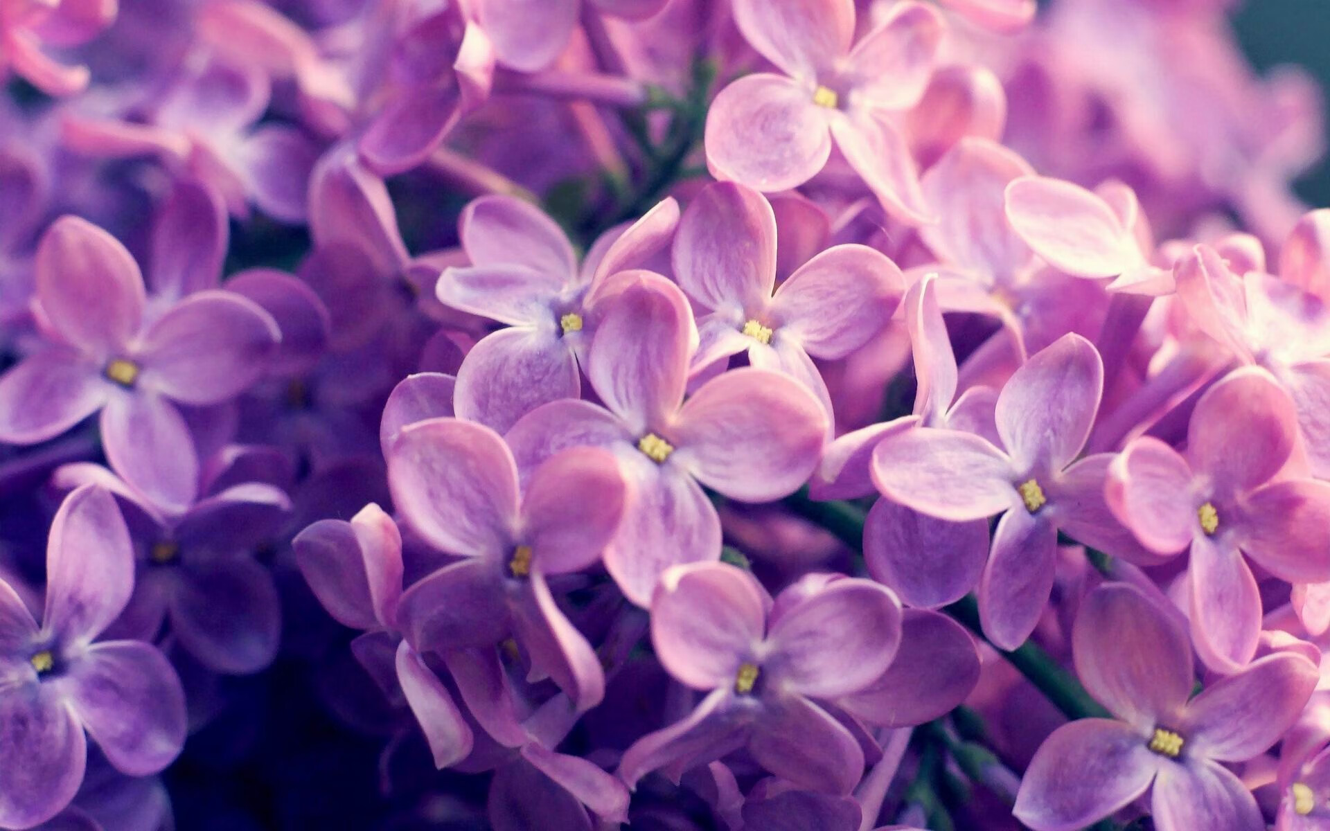 男子100仰德国小将大放异彩，德国男子100米