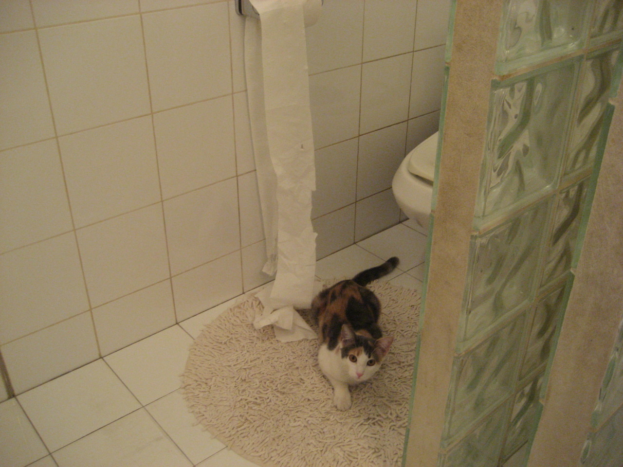 瑞典乒乓球队未来:如何提升战术素养与应变能力,瑞典乒乓球衰落