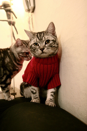 雷恩高强度跑动压制对手节奏,雷恩ds