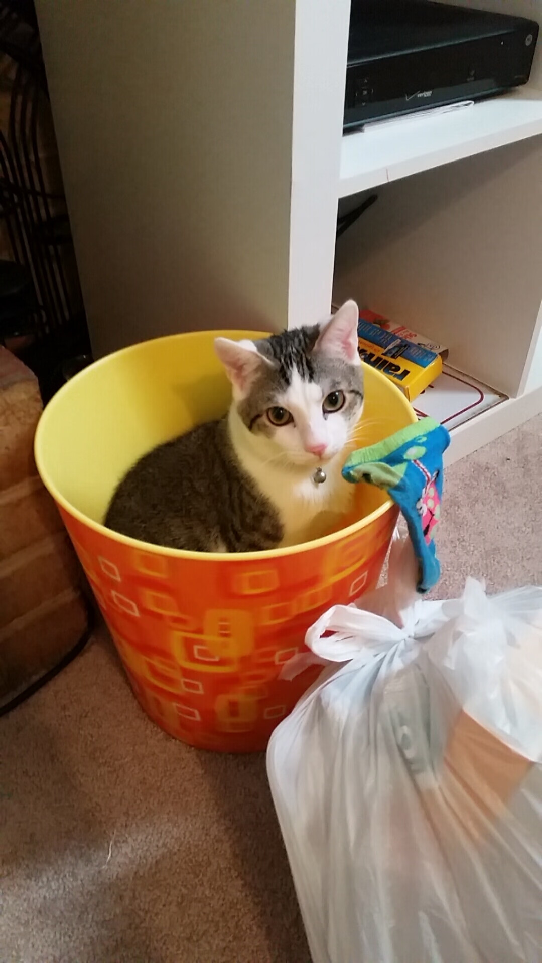 门将长传是否常用于拉开防线制造反击空间,门将穿长裤