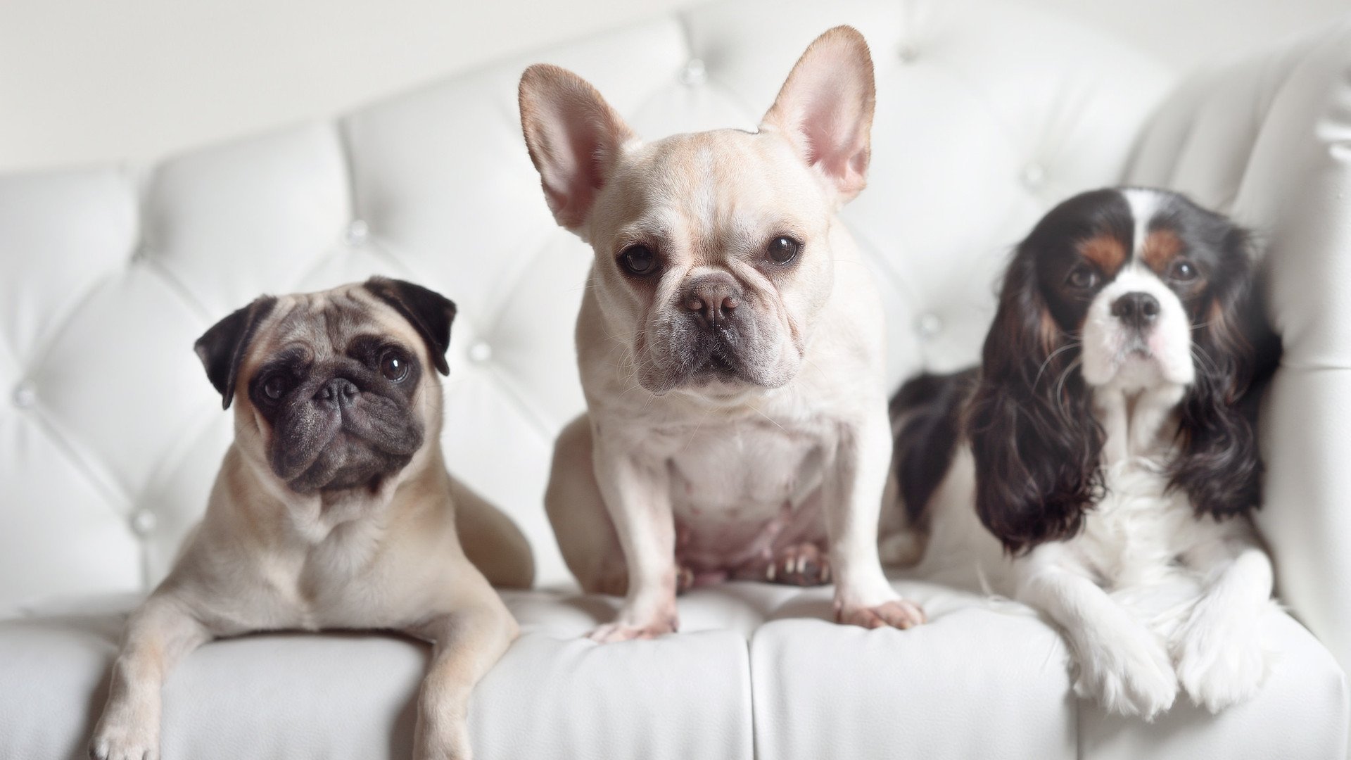 高压转换战术对球员耐力的挑战，高压转换器是什么意思