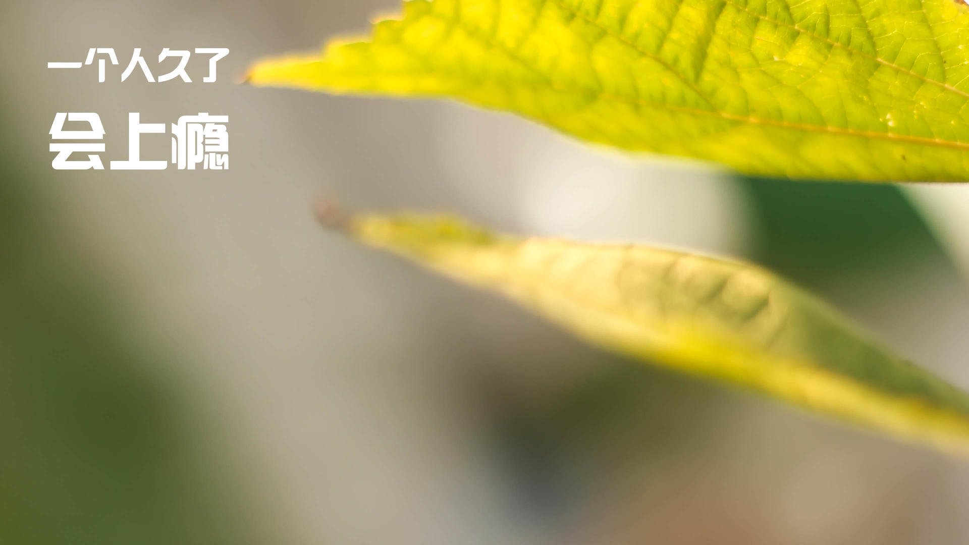 高压转换战术对球员耐力的挑战，高压转换器是什么意思