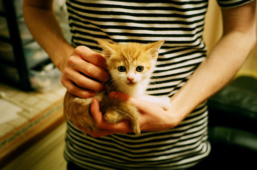 世界杯场场精彩：扣人心弦的逆转与绝杀，世界杯w