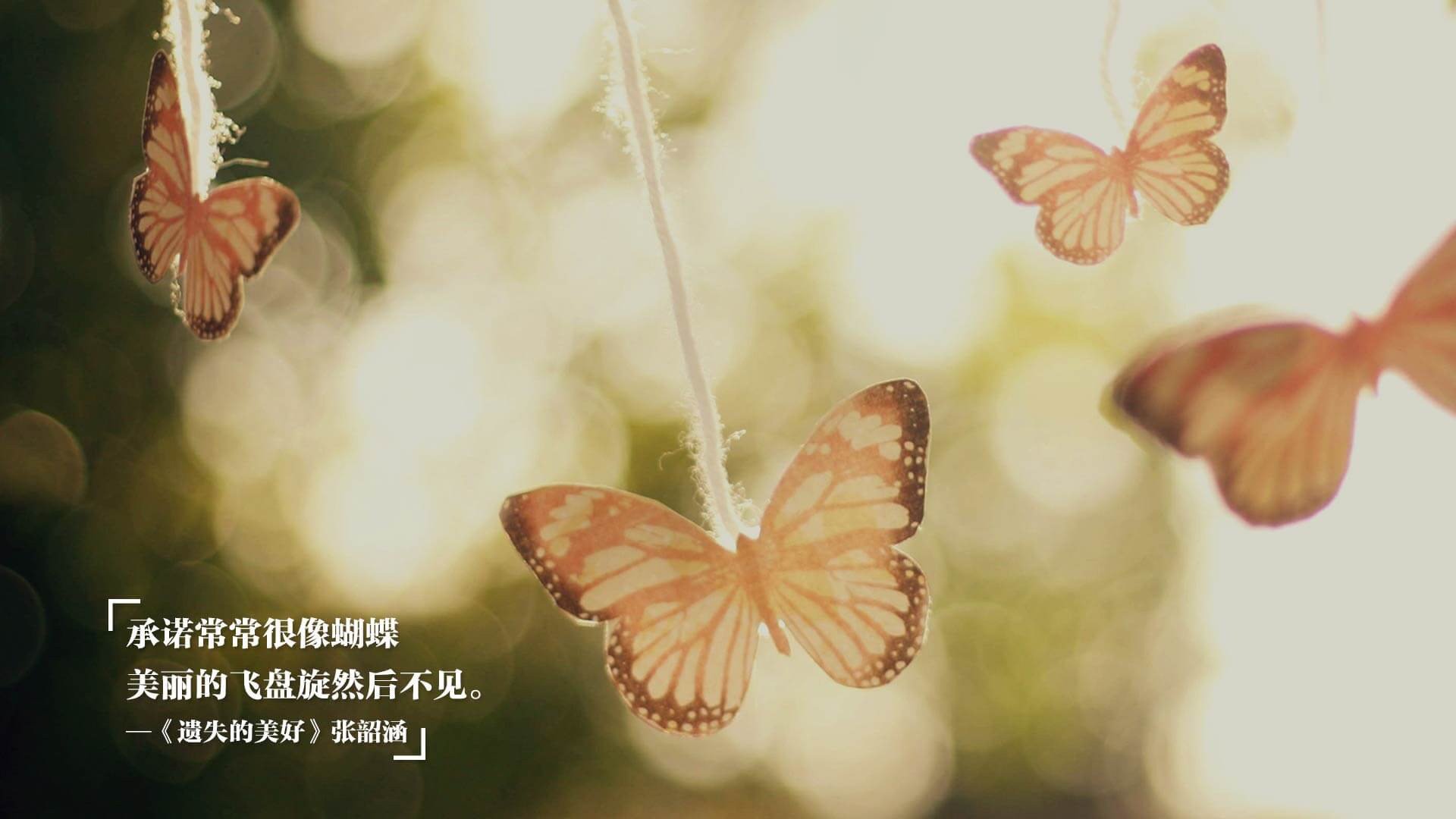 中国队冲线瞬间引爆现场气氛,中国队冲金