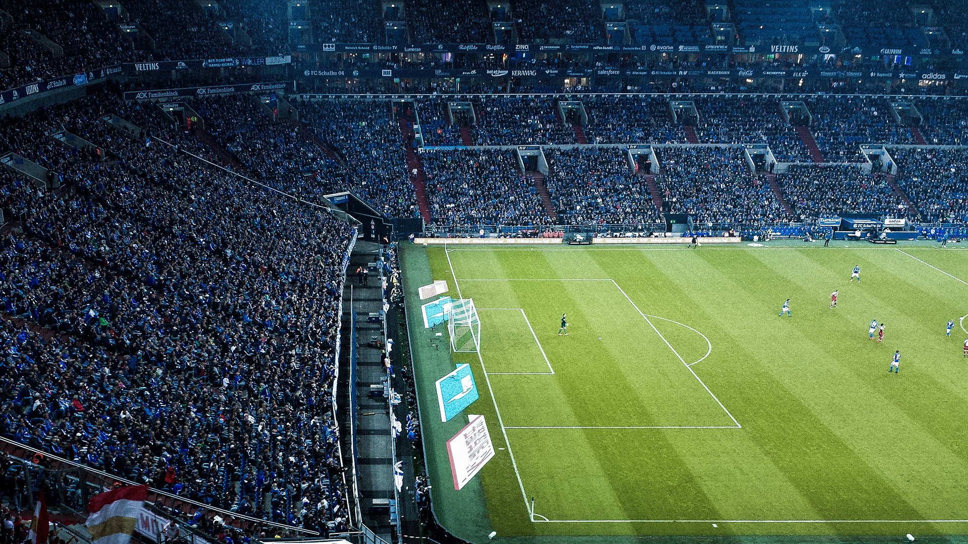 跳水动作整齐荷兰组合夺高分，荷兰女子水球